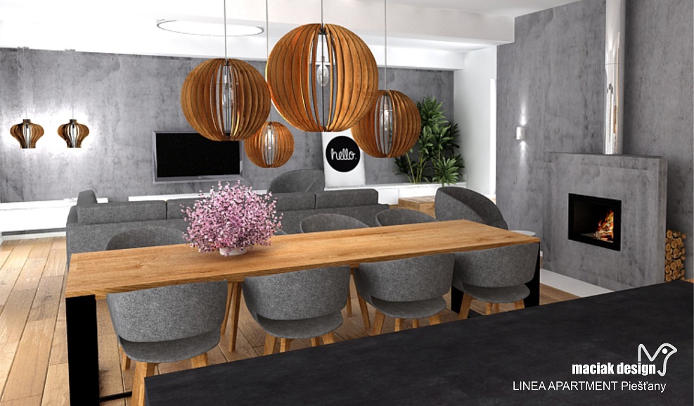 maciak design - LINEA APARTMENT
